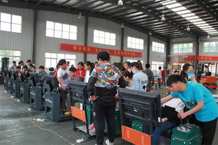 徐州經(jīng)貿(mào)高職舉辦第二屆職教活動(dòng)周暨校園開(kāi)放日，展現(xiàn)職教新風(fēng)貌